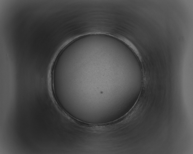 X0000103151096200808291425