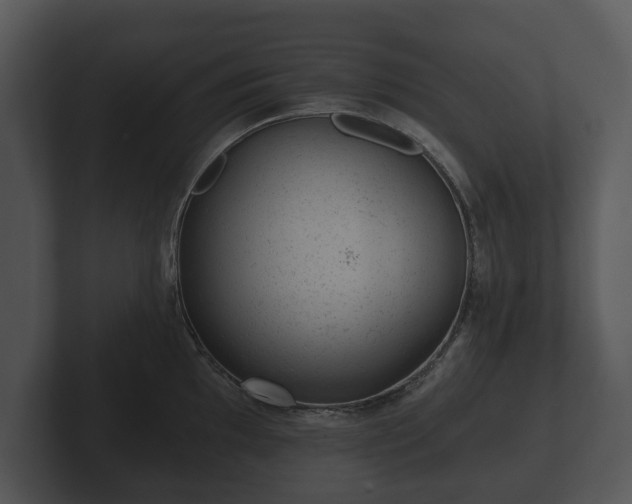 X0000103151097200808291425