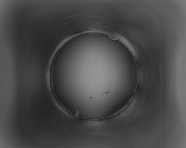 X0000103151100200808291425