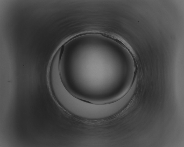 X0000103151101200808291425