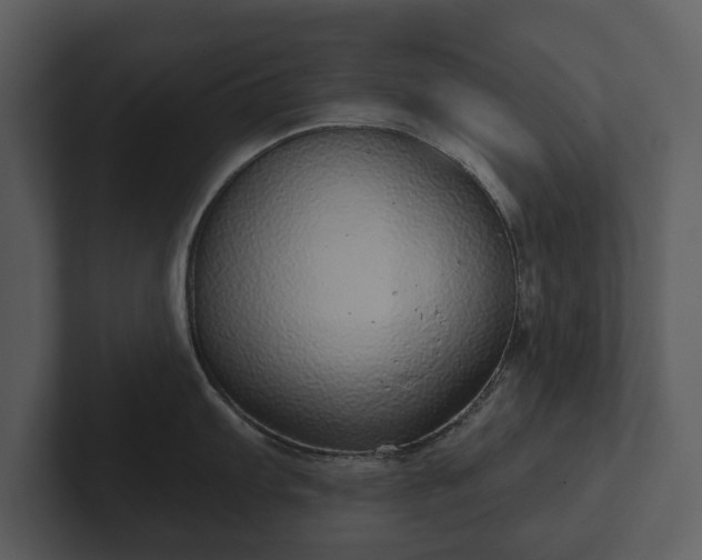 X0000103151103200808291425