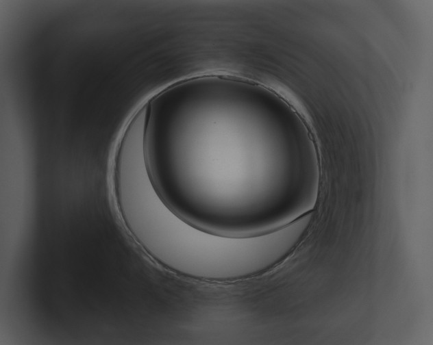 X0000103151104200808291425