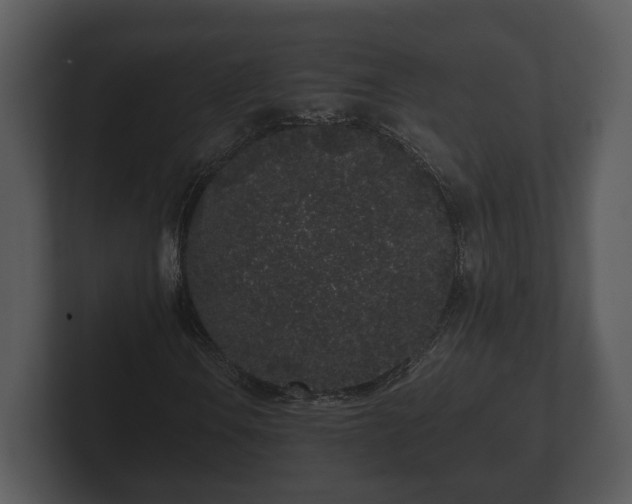 X0000103151106200808291424