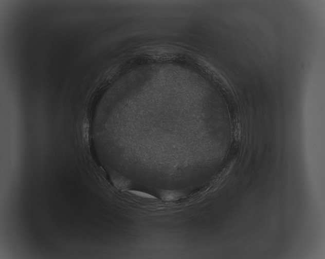 X0000103151108200808291424