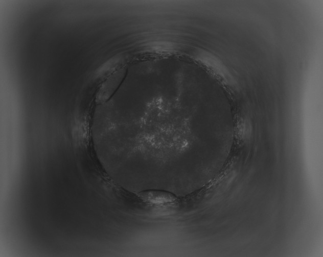 X0000103151110200808291424