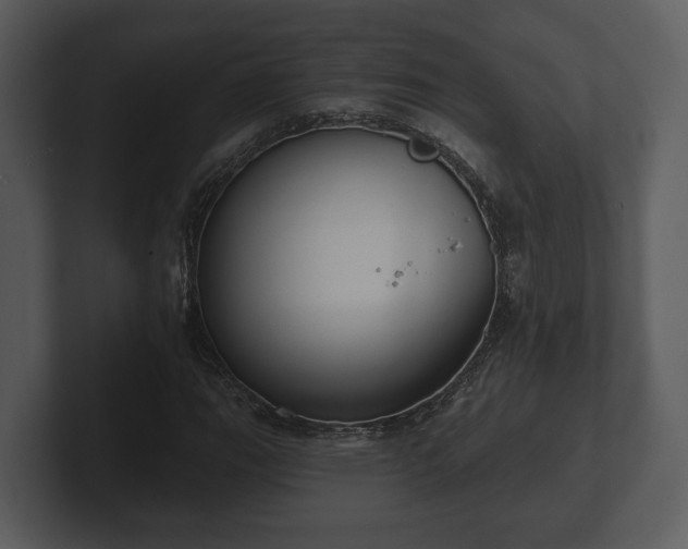 X0000103151111200808291424