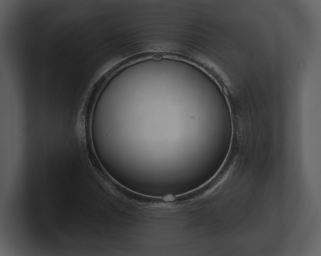 X0000103151114200808291424