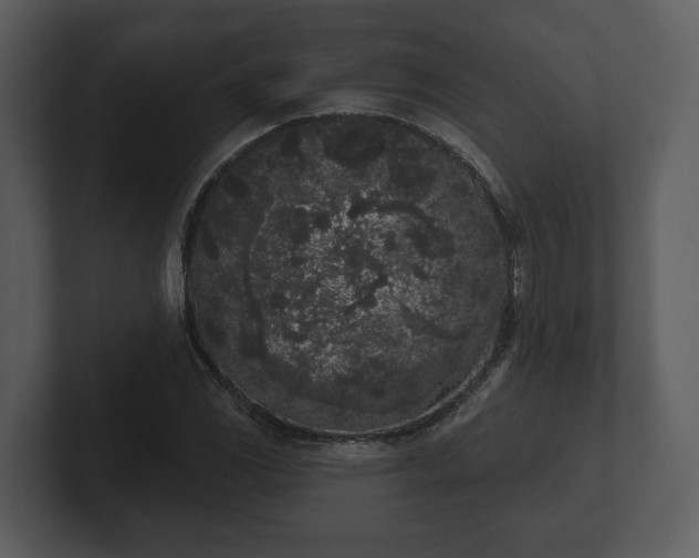 X0000103151117200808291424