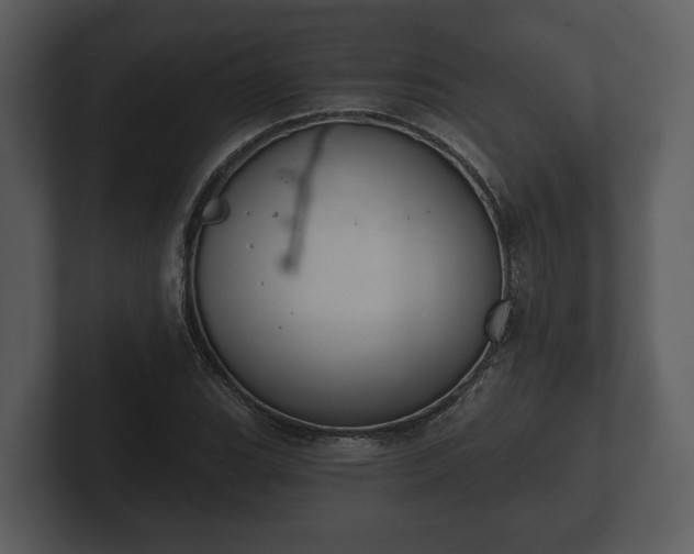 X0000103151119200808291424