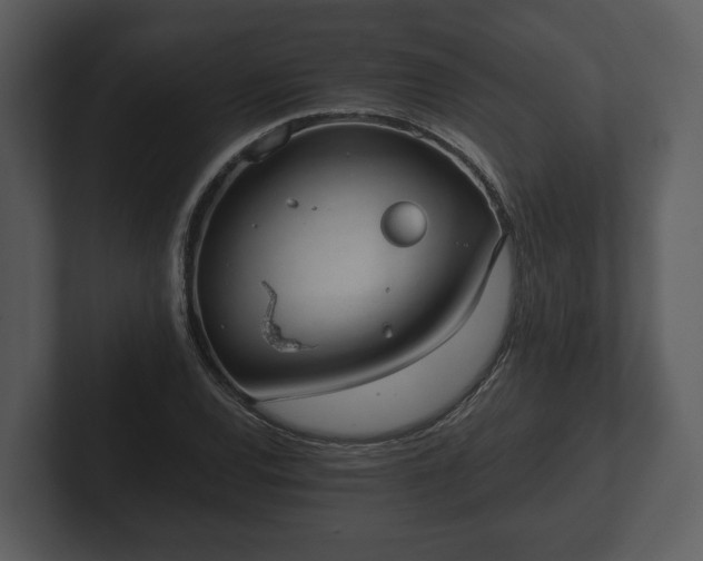 X0000103151120200808291424