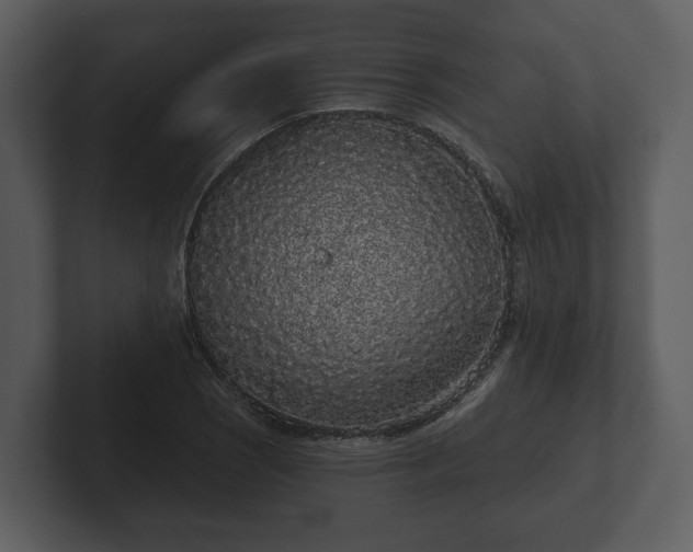 X0000103151121200808291424