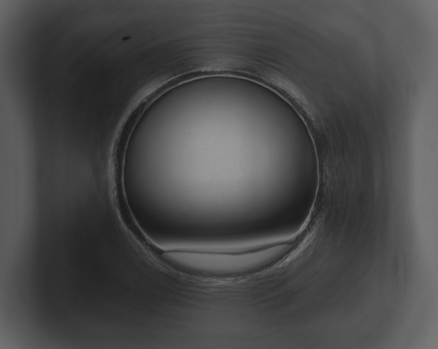 X0000103151122200808291424