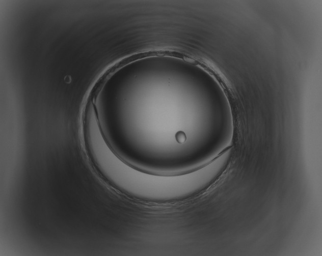 X0000103151124200808291424