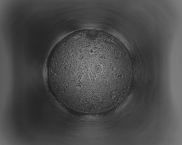 X0000103151125200808291424