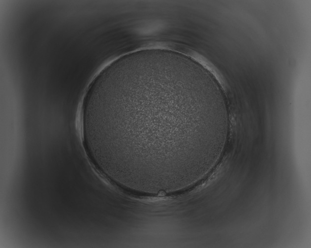 X0000103151127200808291424