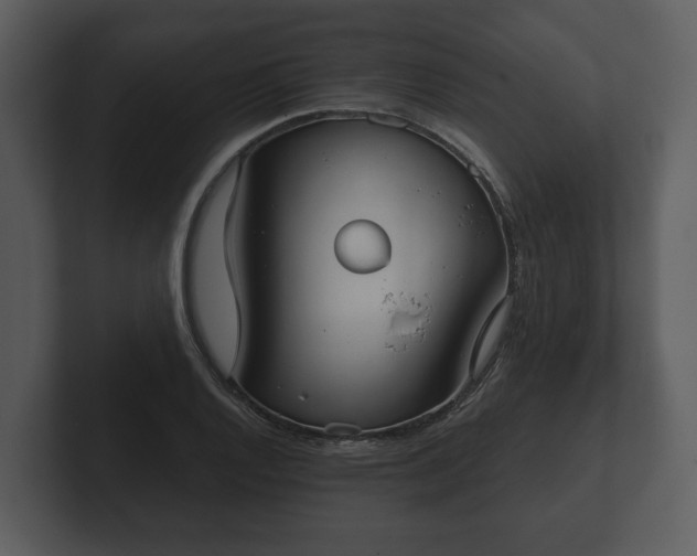 X0000103151128200808291424