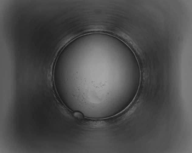 X0000103151129200808291424