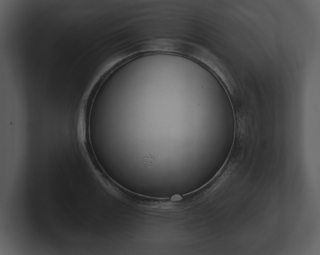 X0000103151131200808291424