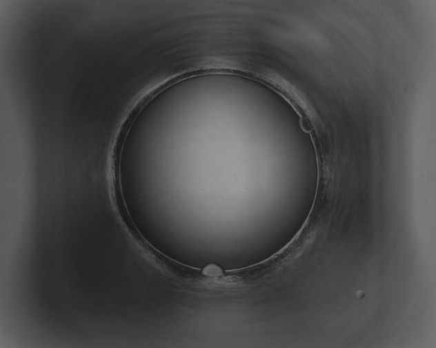 X0000103151133200808291424