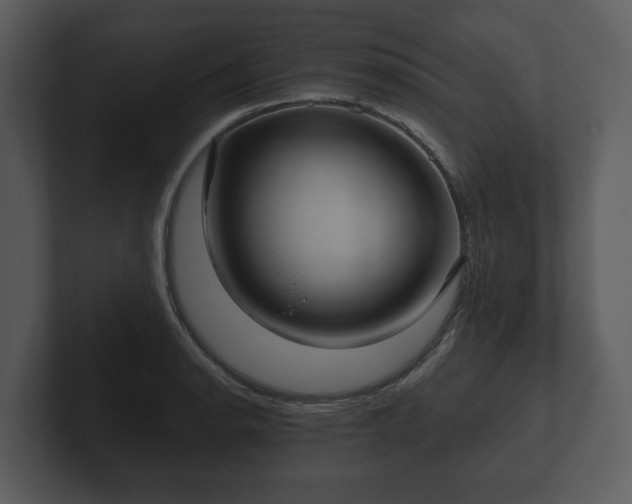 X0000103151134200808291424