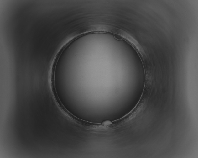 X0000103151135200808291424