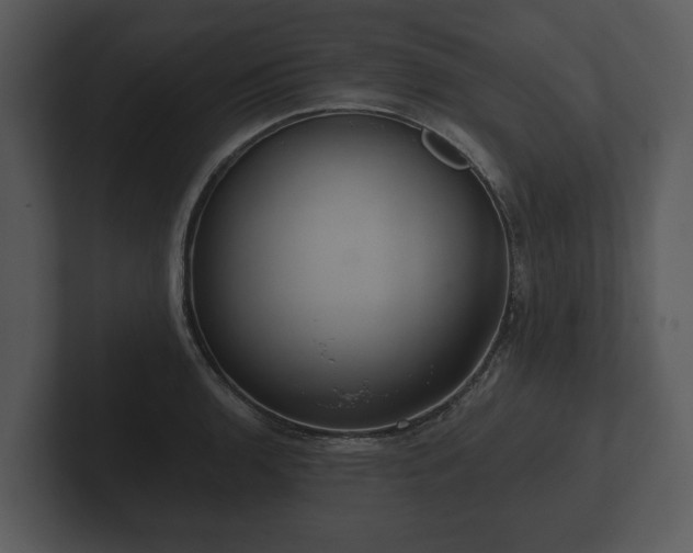 X0000103151136200808291425