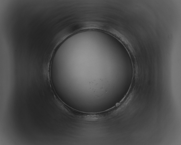 X0000103151137200808291425