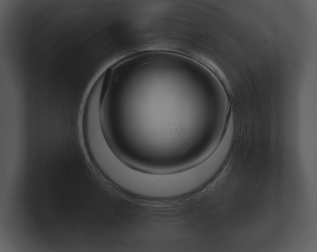 X0000103151138200808291425