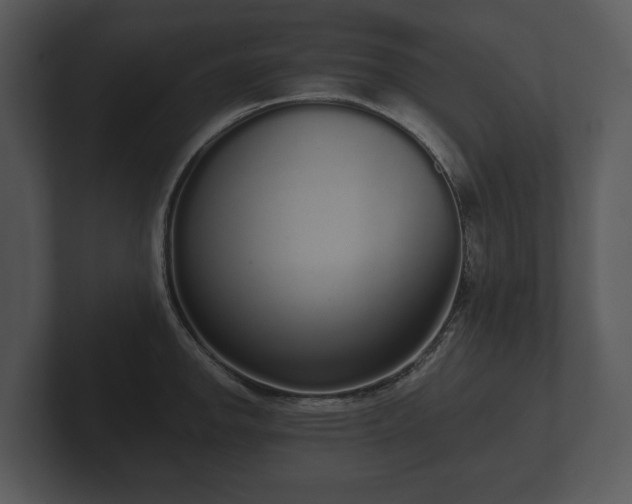 X0000103151142200808291425