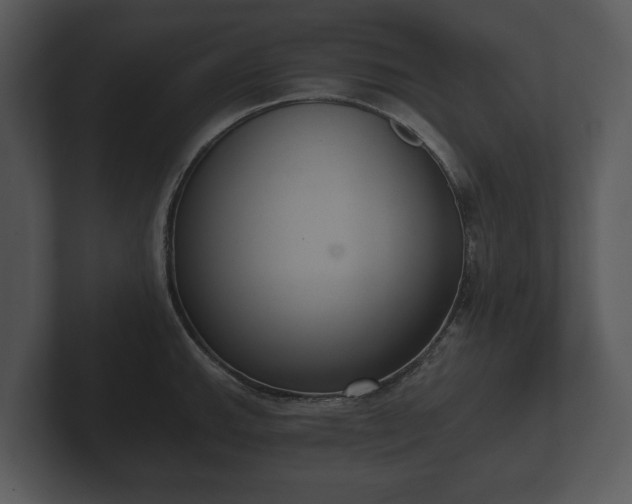 X0000103151143200808291425