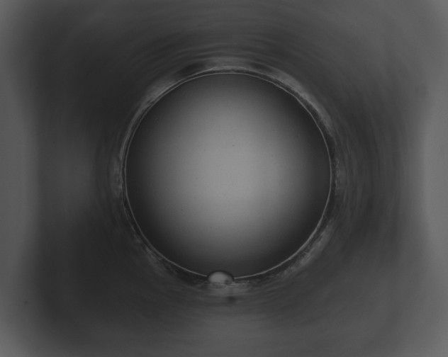 X0000103151145200808291425