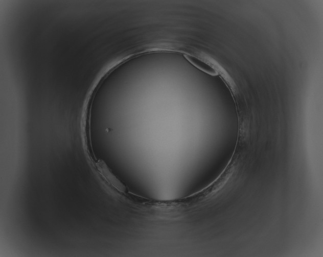 X0000103151146200808291425