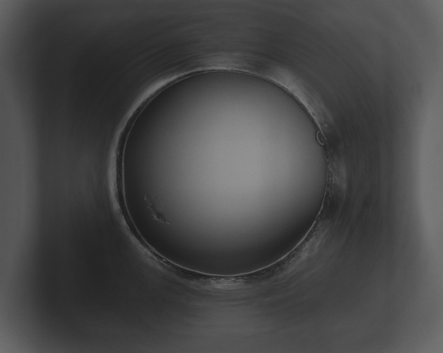 X0000103151147200808291425