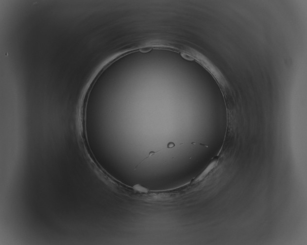 X0000103151148200808291425