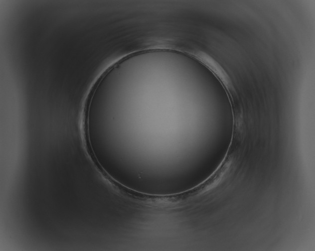 X0000103151149200808291425