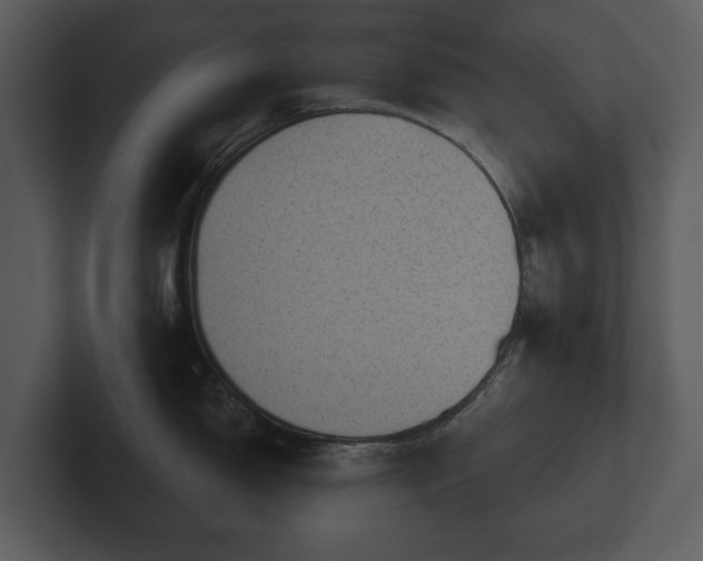 X0000103151150200808291425