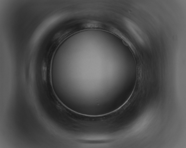 X0000103151151200808291425