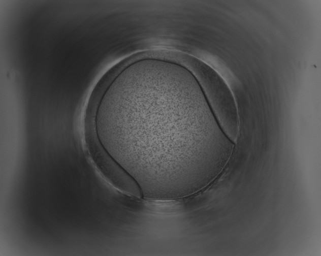 X0000103151152200808291425