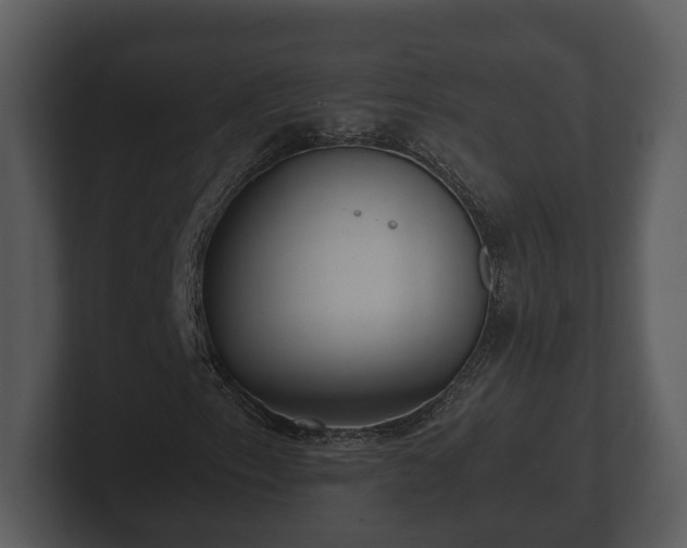 X0000103151153200808291424