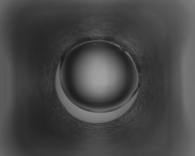 X0000103151157200808291424