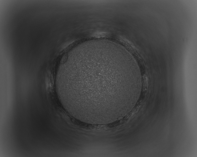 X0000103151158200808291424