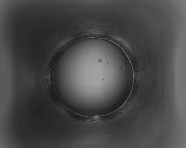 X0000103151159200808291424