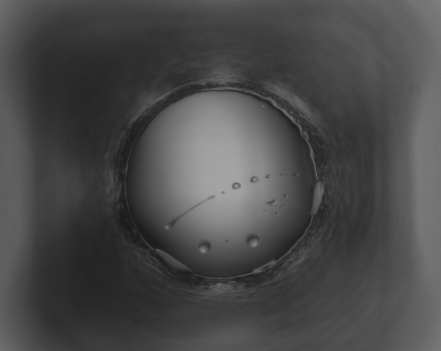 X0000103151160200808291424