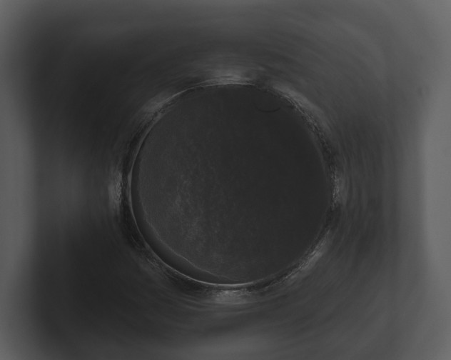 X0000103151161200808291424