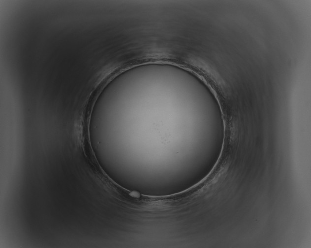 X0000103151162200808291424