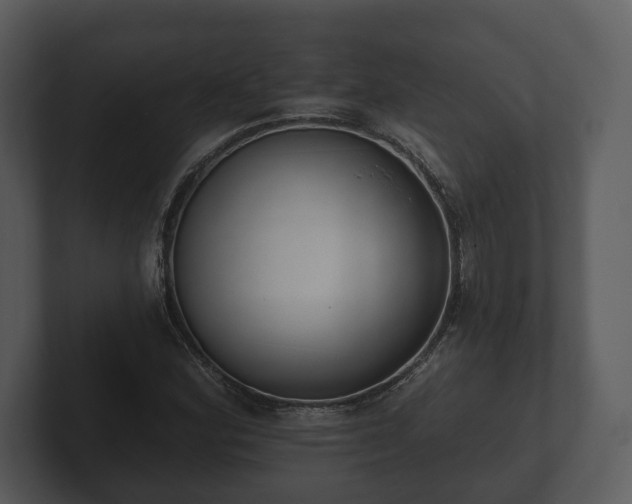 X0000103151164200808291424