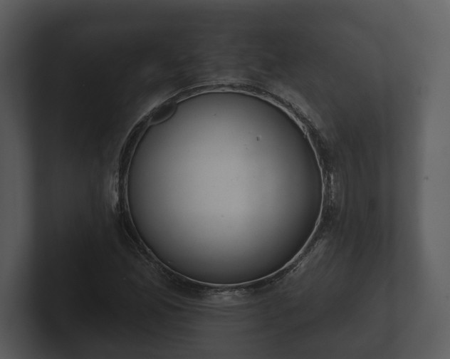 X0000103151165200808291424