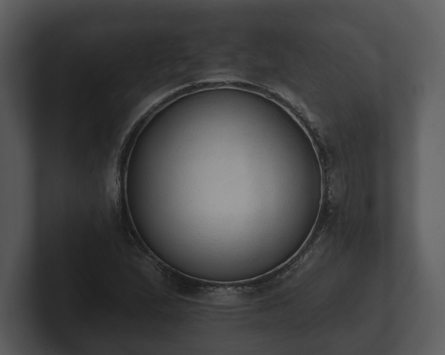 X0000103151167200808291424