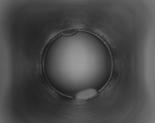 X0000103151168200808291424