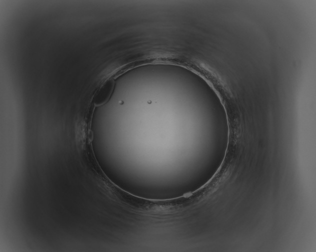 X0000103151169200808291424